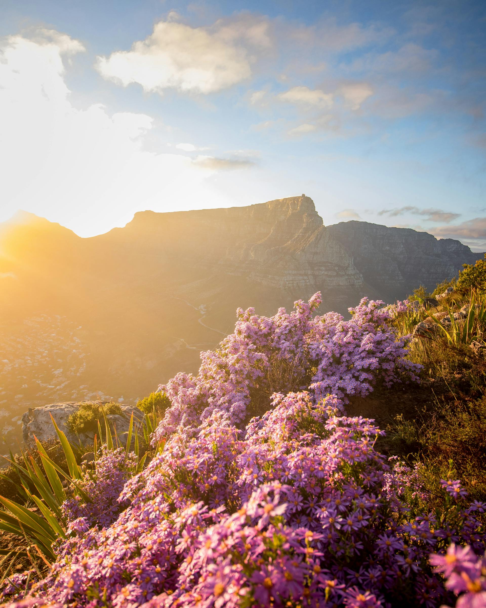 table-mountain