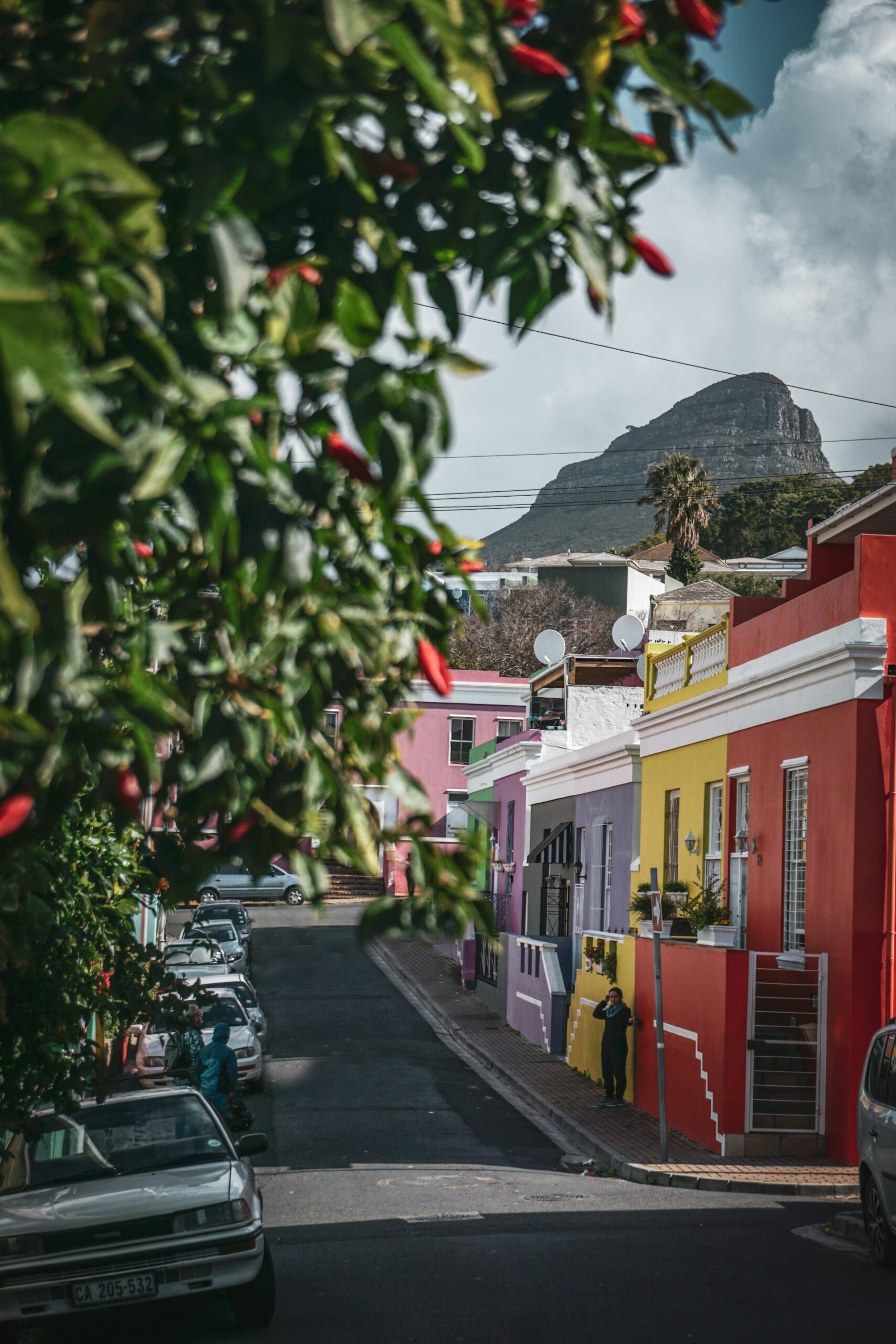 agnieszka stankiewicz 3rKDjJtM5w4 unsplash 1 scaled Mabu Afrika Connect